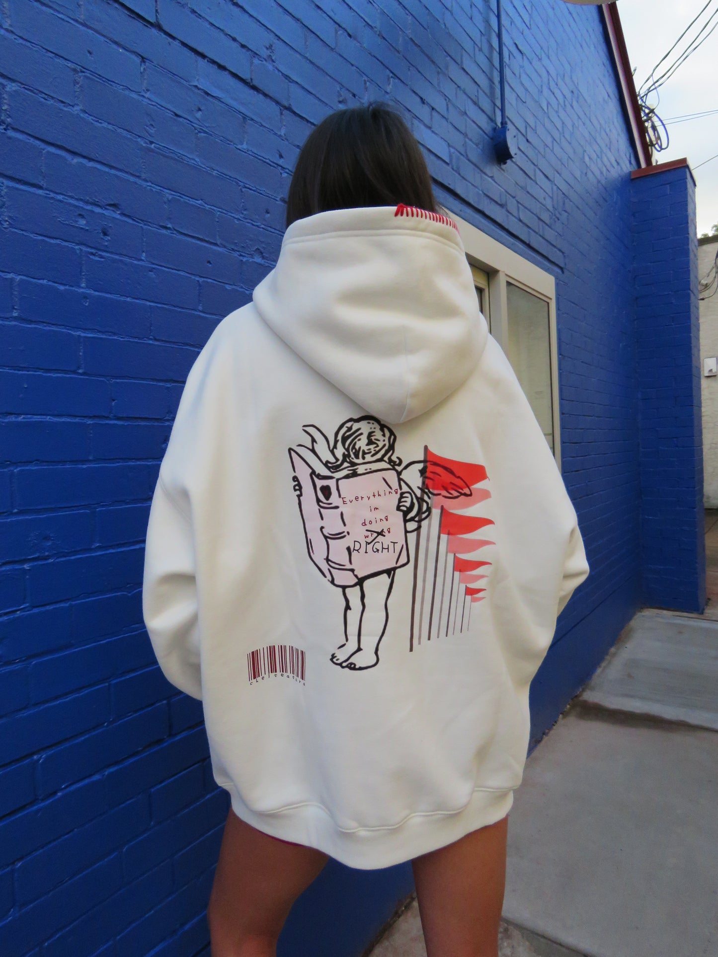 Fun Fact Embroidered Hoodie