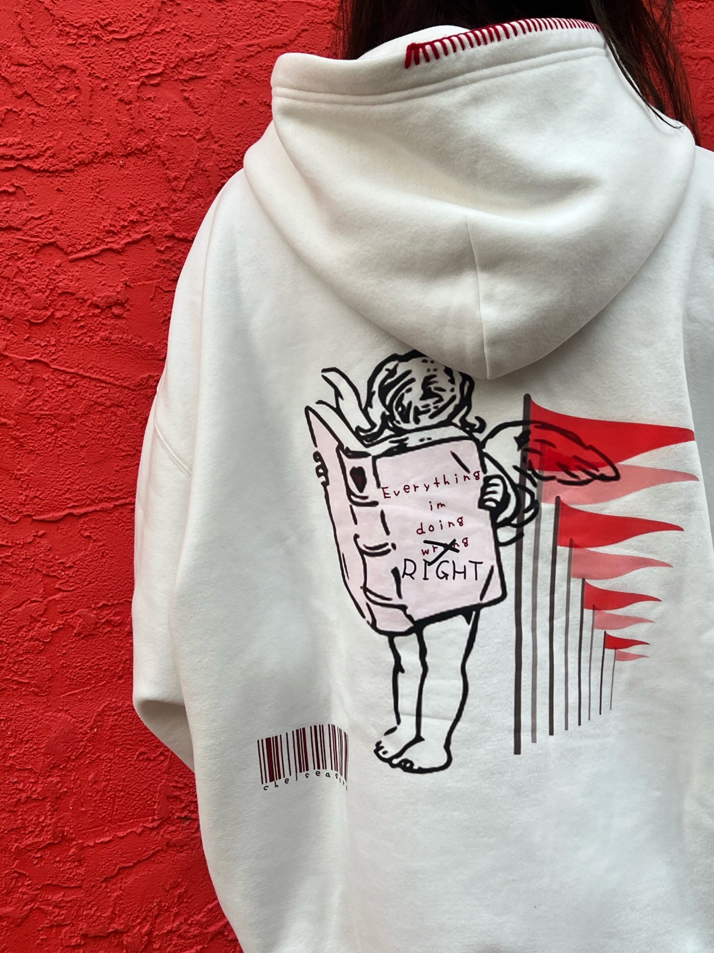 Fun Fact Embroidered Hoodie